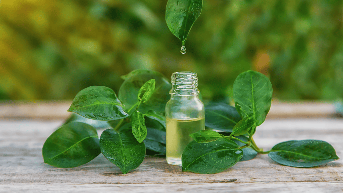 Tea tree essential oil bottle with green leaves and a comb, emphasizing hair and scalp care.