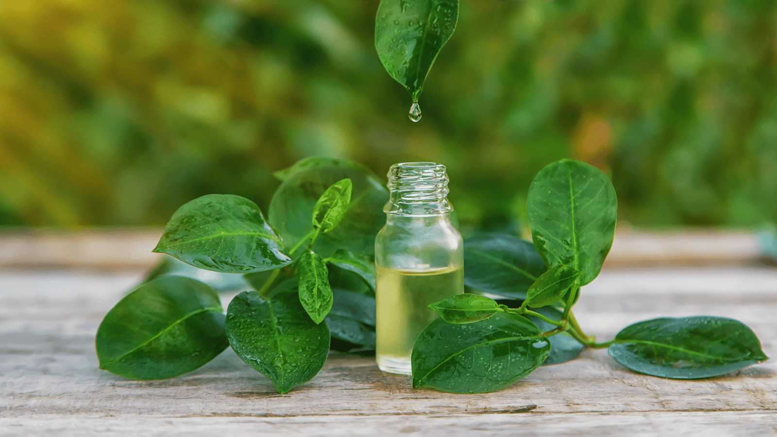 Tea tree essential oil bottle with green leaves and a comb, emphasizing hair and scalp care.