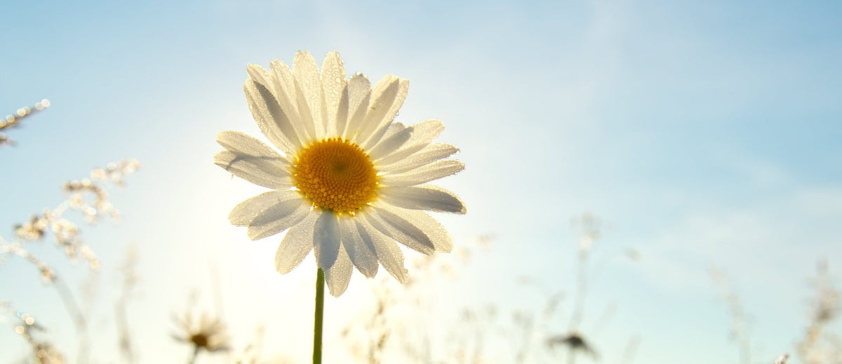 Spring Personal Care Ideas - Knightsmen Grooming